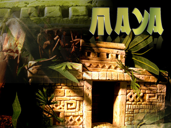 Maya Terrarien Set, Terrarium Deko Themen Rückwand