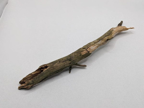 Treibholz Echtholz Krippenbotanik Krippenbau