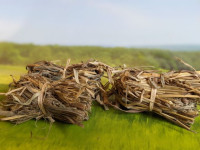 Heuballen Strohballen für den Krippenbau Pferdestall 3 Stk Heuballen Strohballen für den Krippenbau Pferdestall 3 Stk