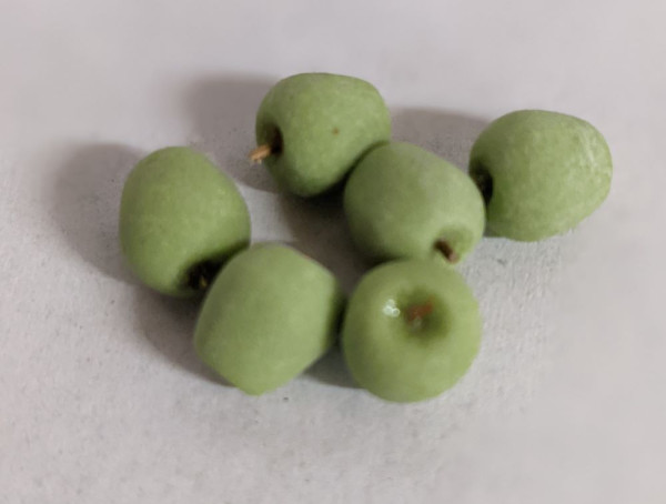 6 Äpfel grün Miniatur Obst Krippenzubehör