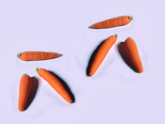 Karotten, Möhren aus Fimo, 6 Stck Gemüse