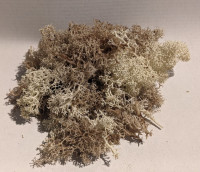 Irisches Moos Natur Hell 23 Gr. eine Handvoll Krippenbotanik Irisches Moos Natur Hell 23 Gr. eine Handvoll Krippenbotanik