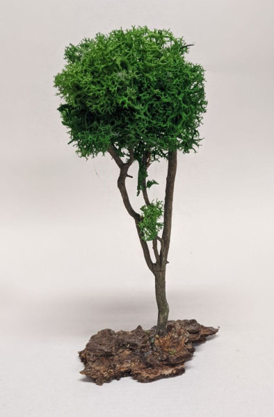 Baum Flechtbaum auf Baumrinde aus Naturmateralien Krippenbotanik