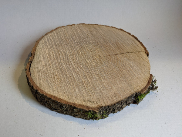 Baumscheibe 18 cm Echtholz mit Rinde