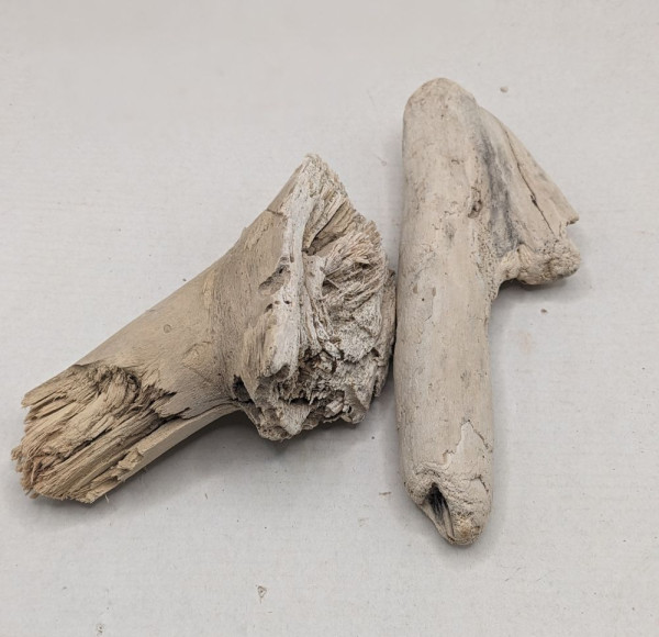 2 x Treibholz aus Echtholz für Krippenbau & Krippenbotanik